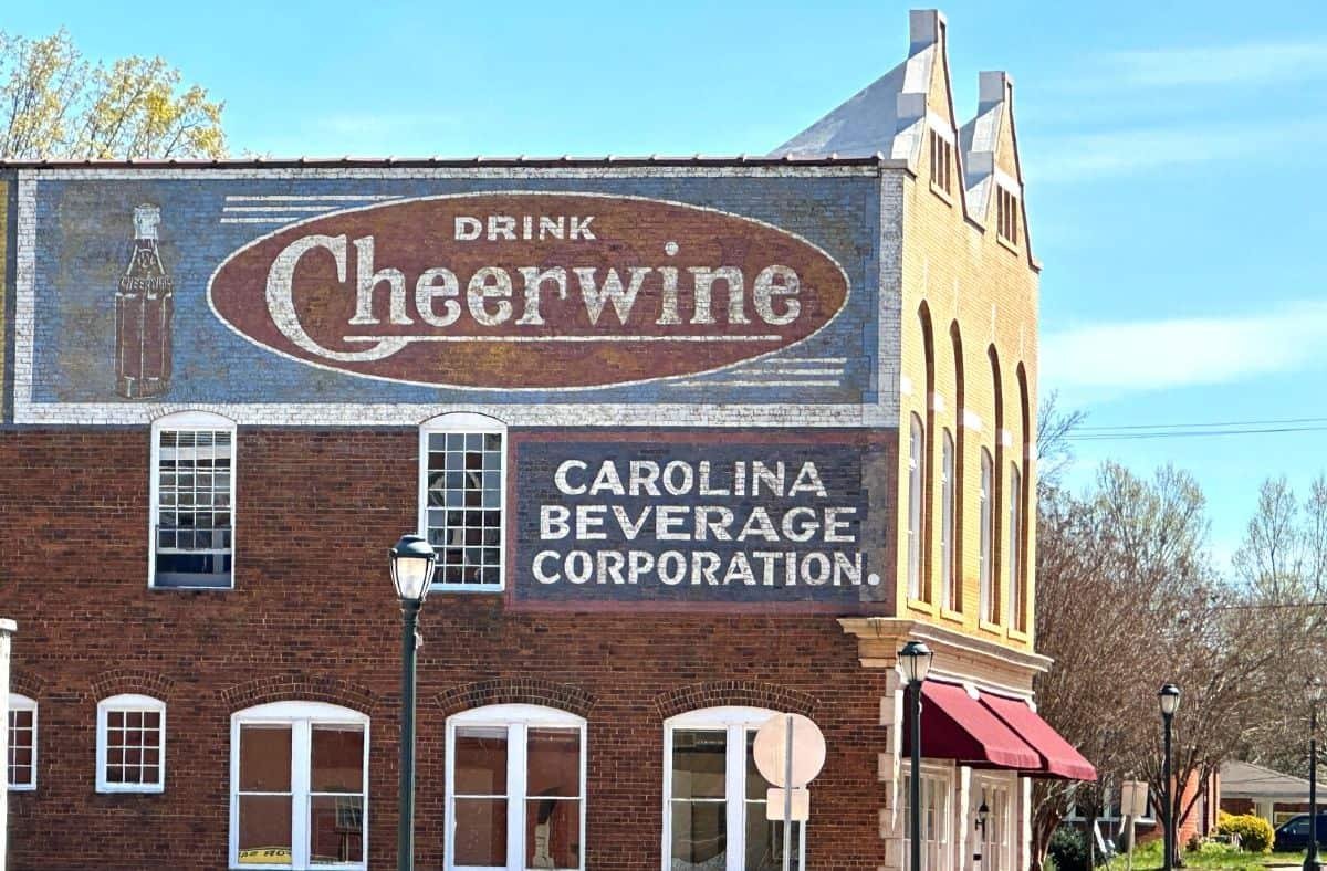 Cheerwine Cherry Soft Drink Soda North Carolina - Image 2